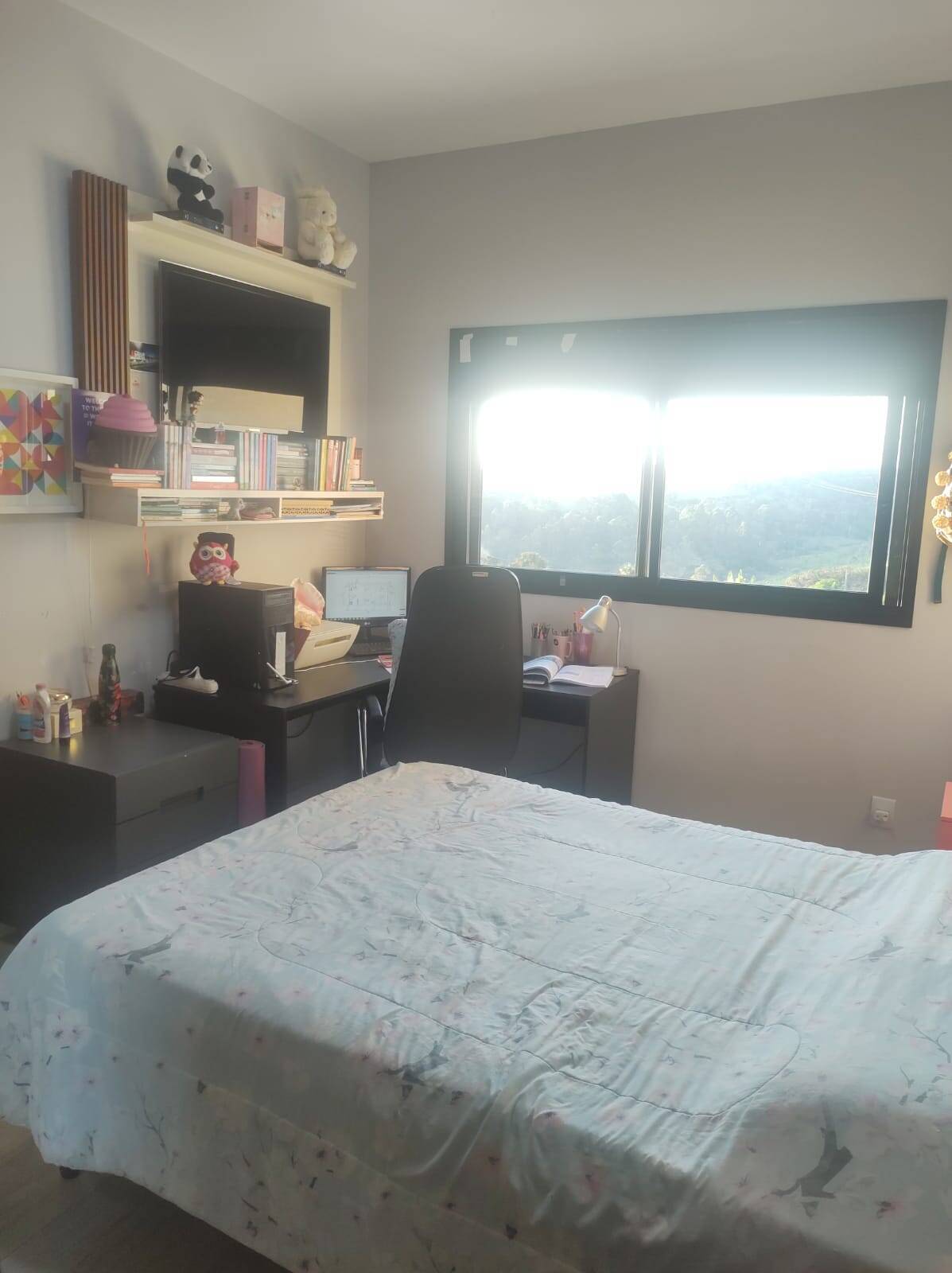 Casa, 4 quartos, 300 m² - Foto 5